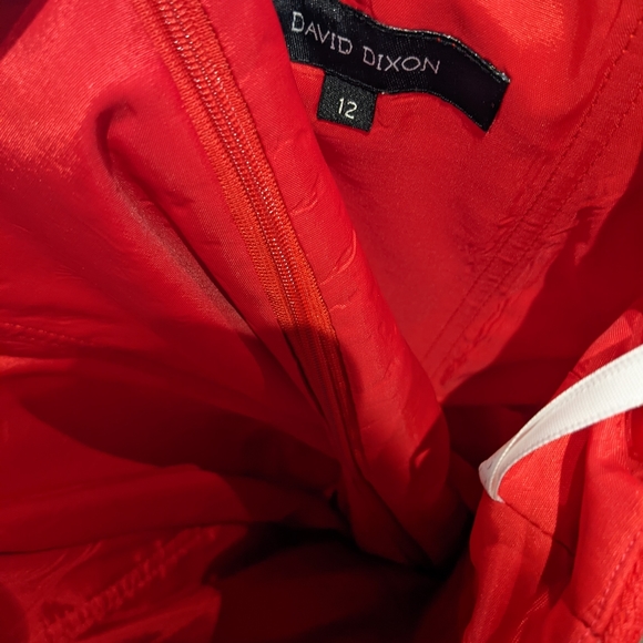 Strapless red lace David Dixon dress - Picture 3 of 3